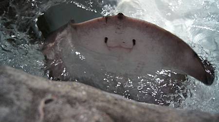 0209-0542.JPG 0209-0542.JPG