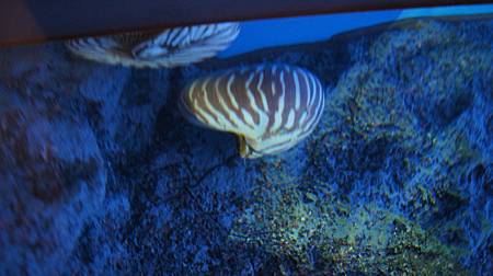 0209-0587.JPG 0209-0587.JPG