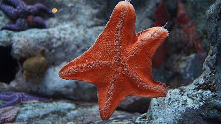 0209-0590.JPG 0209-0590.JPG