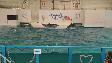 0209-0633.jpg 0209-0633.jpg