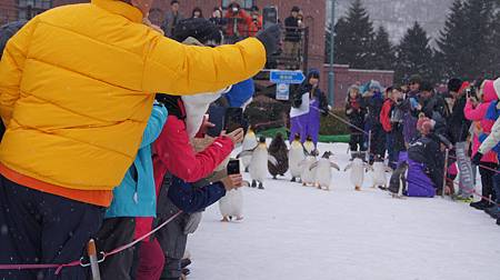 0209-0684.JPG 0209-0684.JPG