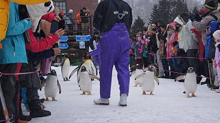 0209-0685.JPG 0209-0685.JPG