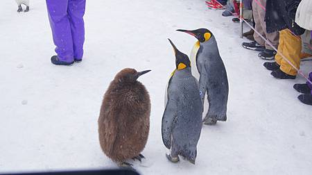 0209-0700.JPG 0209-0700.JPG