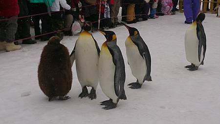 0209-0753.jpg 0209-0753.jpg