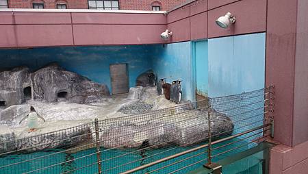 0209-0824.JPG 0209-0824.JPG