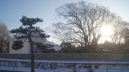 0210-0020.JPG 0210-0020.JPG