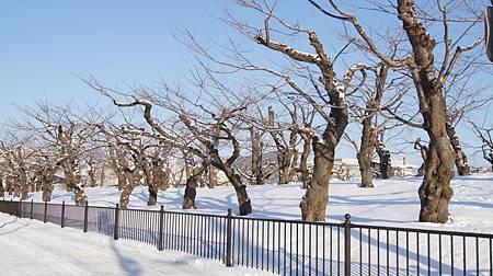 0210-0105.JPG 0210-0105.JPG