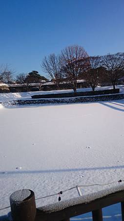 0210-0131.JPG 0210-0131.JPG