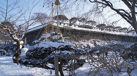 0210-0176.JPG 0210-0176.JPG