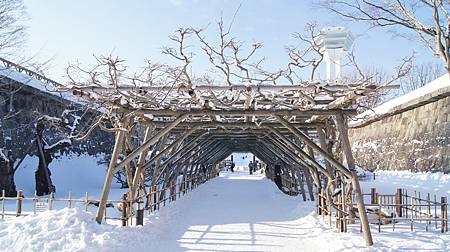 0210-0182.JPG 0210-0182.JPG