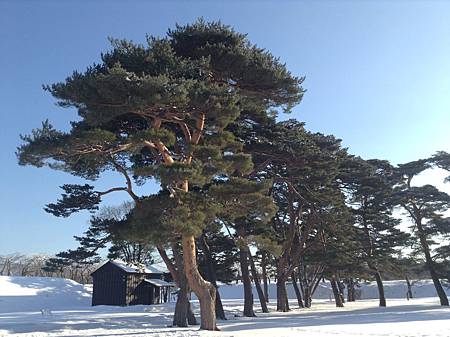 0210-0243.jpg 0210-0243.jpg