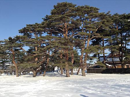 0210-0274.jpg 0210-0274.jpg