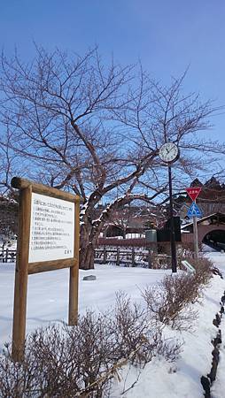 0210-0707.JPG 0210-0707.JPG