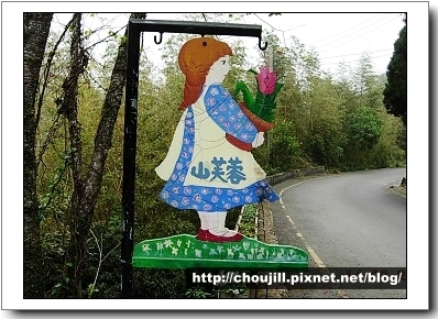 南莊山芙蓉 南莊山芙蓉