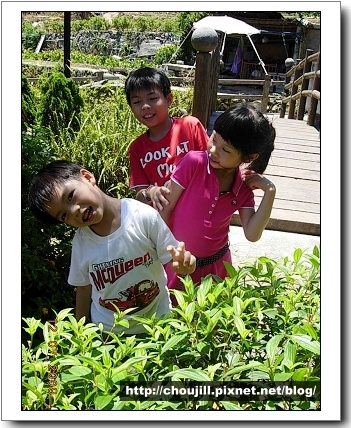 DSCN9224.JPG DSCN9224.JPG