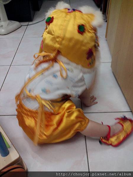 照片009.jpg 照片009.jpg