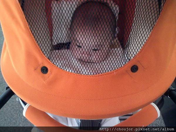 照片005.jpg 照片005.jpg