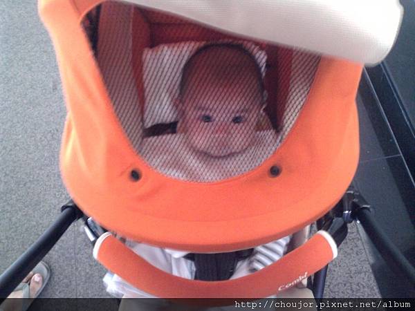 照片006.jpg 照片006.jpg