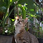 DSCF4931-1