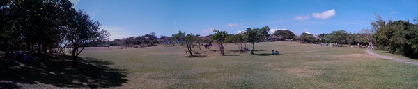 社頂公園開闊的草原... 社頂公園開闊的草原...