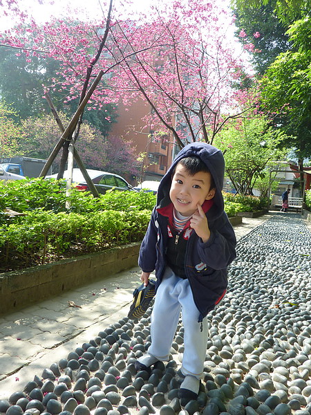 P1090232_調整大小.JPG P1090232_調整大小.JPG