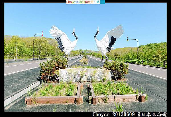 DSC_2231 DSC_2231