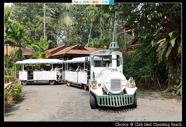 DSC_5025.jpg DSC_5025.jpg