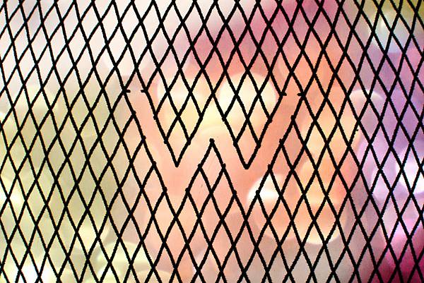 W W