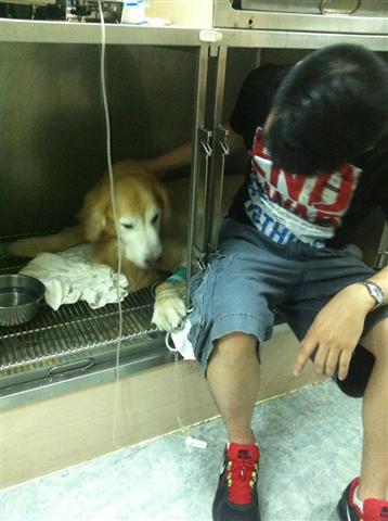 556158_10150799487916114_629791113_9911510_1160138449_n (Small) 556158_10150799487916114_629791113_9911510_1160138449_n (Small)