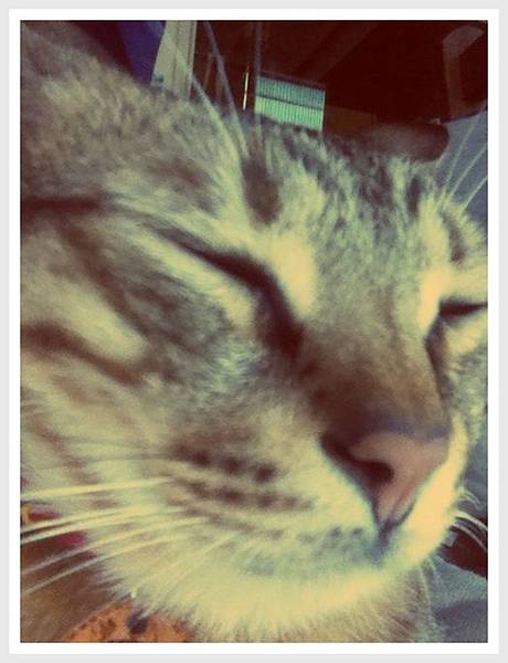 1-IMG_4798 1-IMG_4798