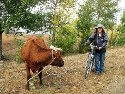 HighTechLowLife2 HighTechLowLife2