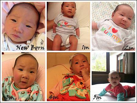 1-Desktop3 1-Desktop3