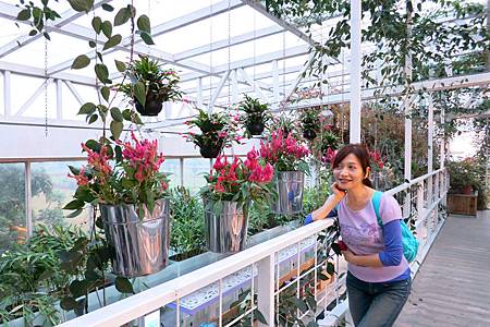 img_6711_副本.jpg img_6711_副本.jpg