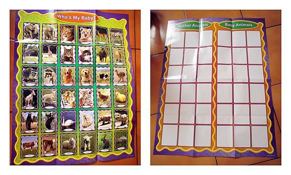 memorry matching card memorry matching card