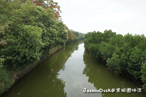 DSC00721.JPG