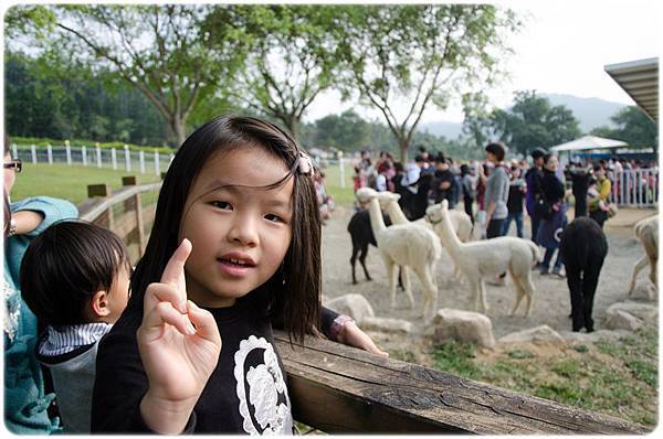 2013_0213嘉義獨角仙農場 (1)