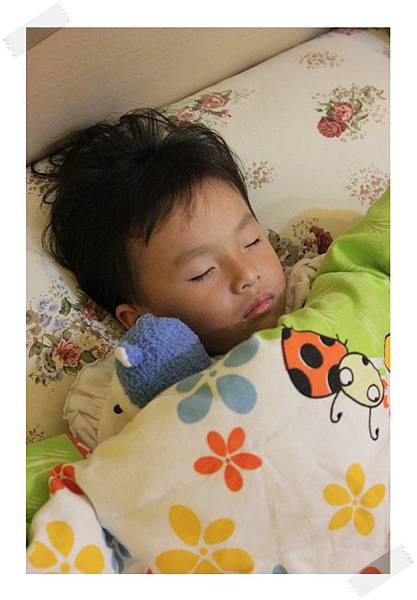 2013_0313翔和草泥馬一起睡 2013_0313翔和草泥馬一起睡