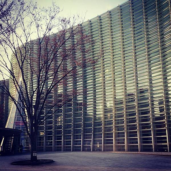 IMG_20141221_150614 IMG_20141221_150614