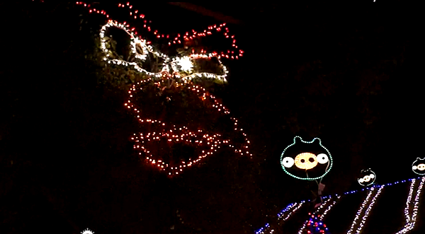 笨豬不要來(Angry Birds Christmas Light Game).png