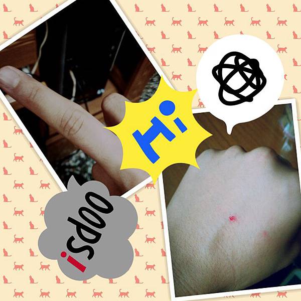 PhotoGrid_1377696601688 PhotoGrid_1377696601688