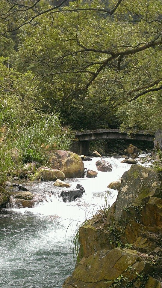 993464_742718462409470_1178318707_n