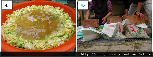 高麗菜2 高麗菜2