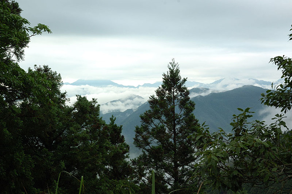太平山一景 太平山一景