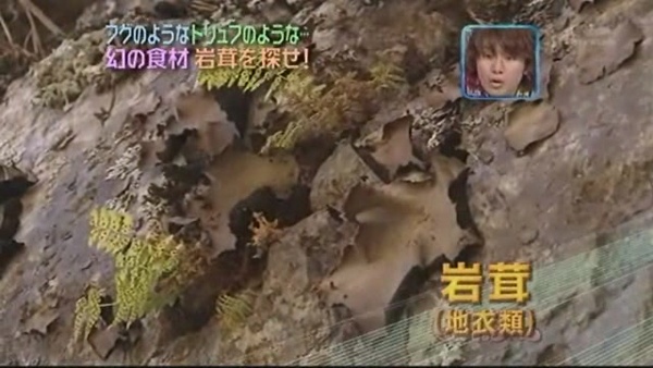 Can ジャニ16 之大倉很有笑點呢 In My Place 痞客邦