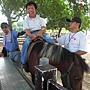 CIMG8613_調整大小.JPG CIMG8613_調整大小.JPG