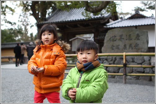 金閣寺 (1) 金閣寺 (1)