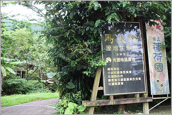 馬太鞍溼地 (1) 馬太鞍溼地 (1)