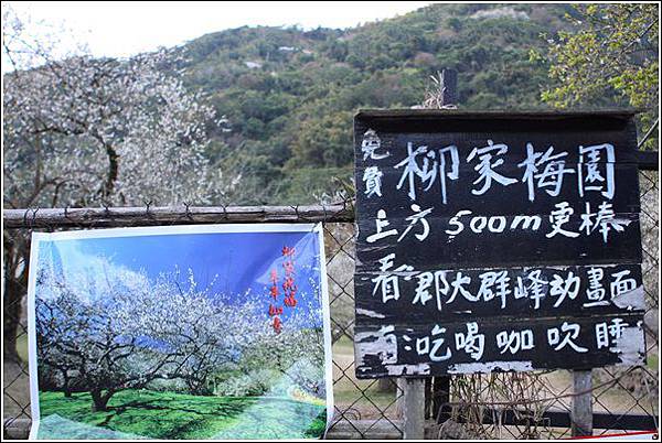踏雪尋梅 (1) 踏雪尋梅 (1)