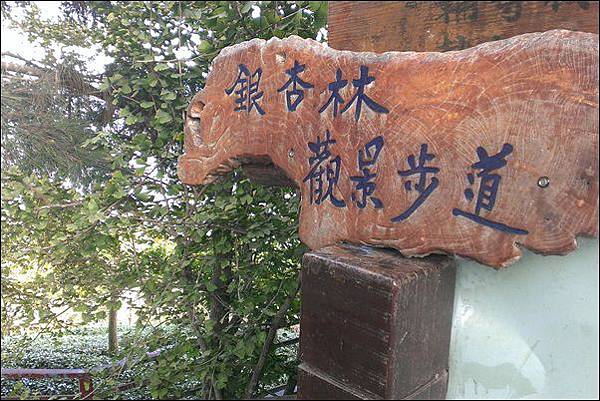 銀杏森林 (3) 銀杏森林 (3)