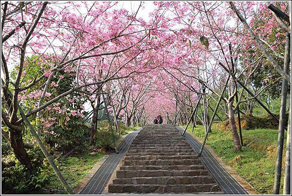 鳳凰自然教育園區 (15) 鳳凰自然教育園區 (15)